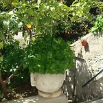 Guesthouse Manda