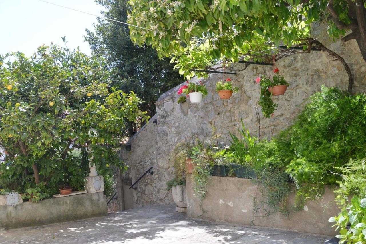 Manda Dubrovnik