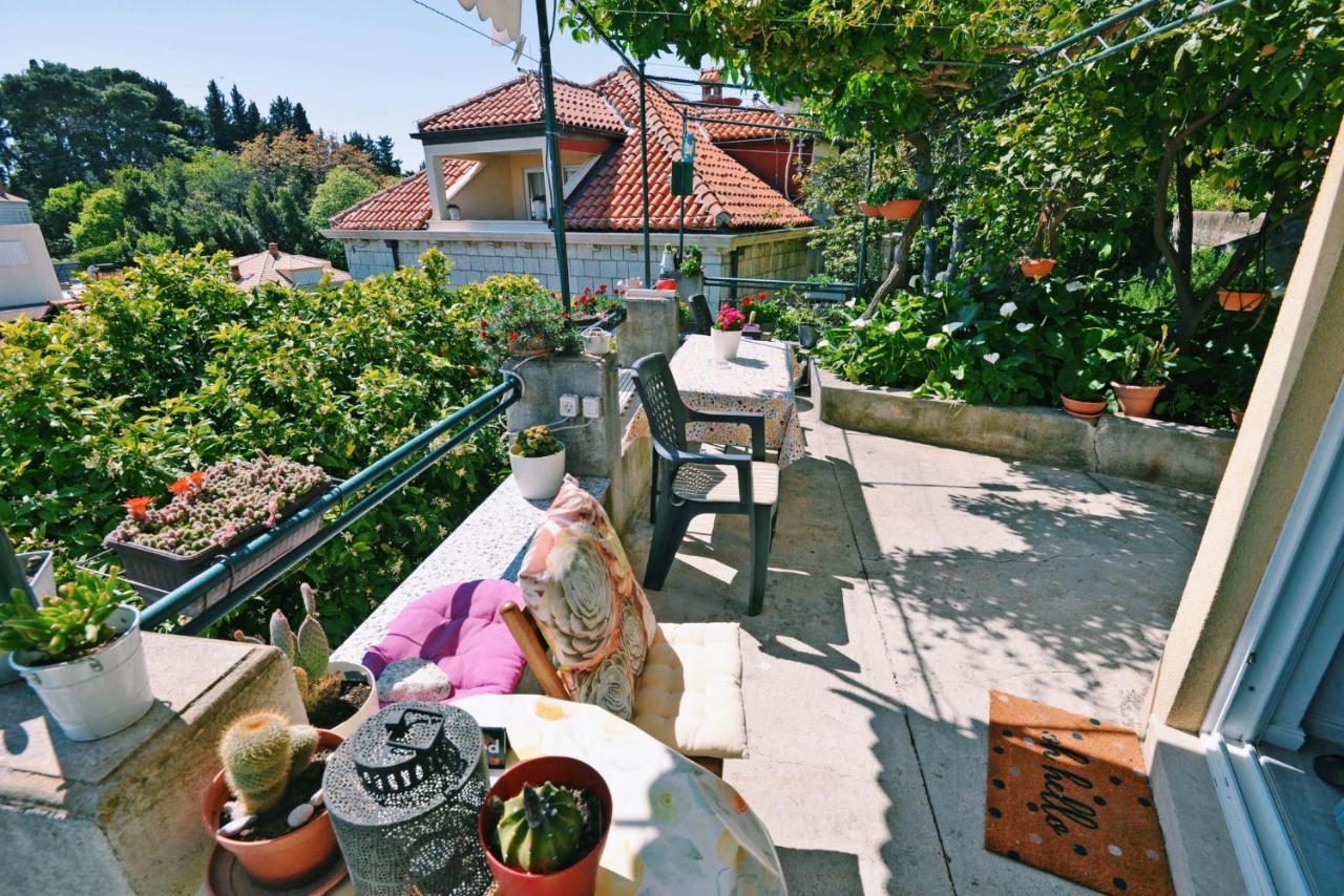 Manda Guest house *
