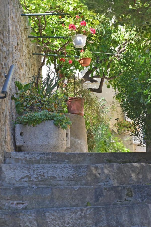 Guest house Manda