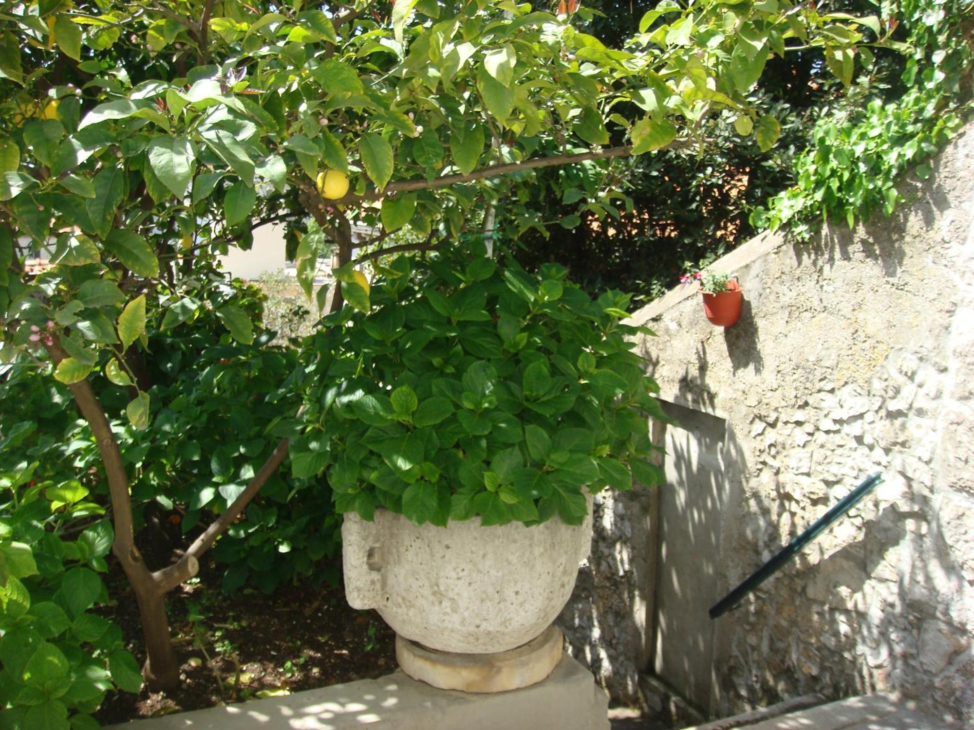 Manda